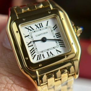 Cartier-Panthere-de-Cartier-WGPN0047-Yellow-Gold-4-300×300-1.jpg