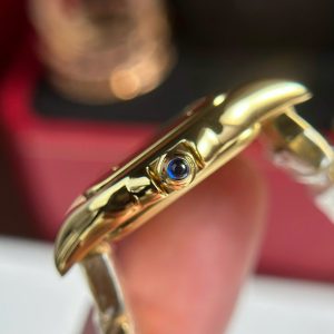 Cartier-Panthere-de-Cartier-WGPN0047-Yellow-Gold-5-300×300-1.jpg